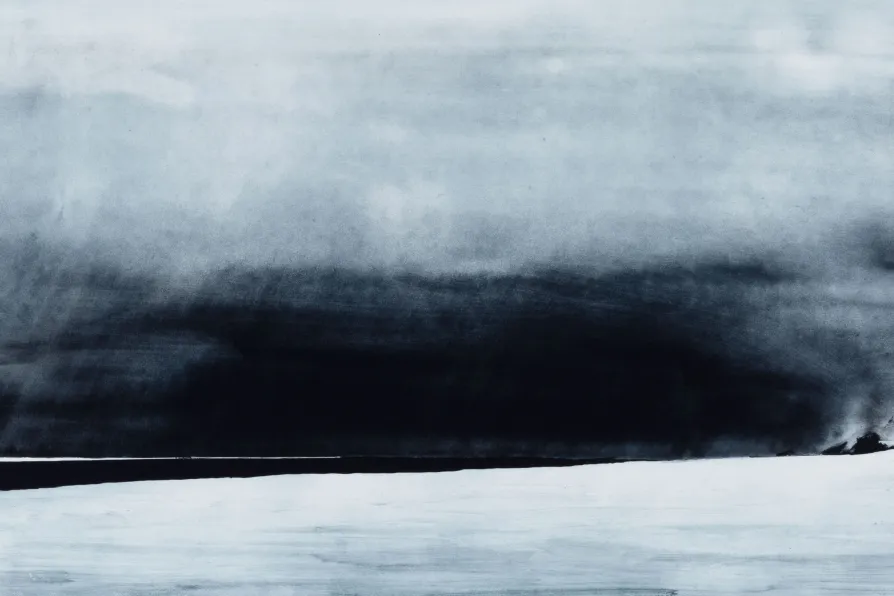 Gjertsenodden, Svalbard_2024