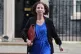 QUIT: Anneliese Dodds has stood down as international develo