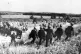 OPEN CLASS WARFARE: Police lay siege to striking miners at O