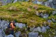 Studying a moss bank on bare rock, Norsel Point, in the Anta