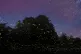 Fireflies and Star Trails