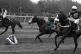 AP McCoy falls from Synchronised at Bechers in the 2012 Gran