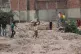 OUTRAGE: Workers sort through the remains of the factory in 