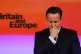 Former prime minister David Cameron in 2013