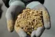 A general view of a person holding biomass fuel