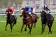 Dysart Dolomite ridden by Patrick Mullins (centre) on their way to winning the BrandingHub For Signs & Graphics Open NH Flat Race on day two of the Coral Scottish Grand National Festival 2025 at Ayr Racecourse, April 12, 2025