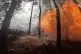 In this photo taken from video distributed by Russian Defense Ministry Press Service, April 27, 2025, a Russian Army 152mm howitzer Giatsint-B fires towards Ukrainian positions in Kherson, Ukraine Photo: Russian Defense Ministry Press Service via AP