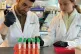 POISON: Centivax workers study antivenom to counteract the bites of various snakes at the company lab in San Francisco