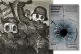 nazi nightmares