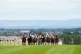Runners and riders at Carlisle racecourse