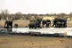Elephants drink at a waterhole in Etosha National Park in Namibia on September 23, 2004