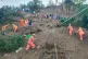 National Disaster Response Force personnel look for survivors from a massive landslide near Bilaspur, in India's northern state of Himachal Pradesh, October 8, 2025