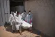 Bodies of unidentified Palestinians returned from Israel as part of the ceasefire deal are brought to Nasser Hospital in Khan Younis, Gaza Strip