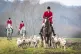 Members of the Grove and Rufford Hunt near Bawtry in South Yorkshire, December 26, 2018