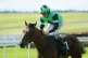 Galeron ridden by jockey Shane Foley on their way to winning Goffs Million on day one of the Autumn Festival at Curragh Racecourse in Newbridge, Ireland, September 24, 2022