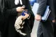 A barrister carries a wig into the Royal Courts of Justice, London, January 2020