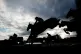 Destroytheevidence ridden by Thomas Bellamy competes in the Carl Pyne 60th Birthday Novices' Limited Handicap Chase during day one of the Unibet Jump Season Opener at Chepstow Racecourse, October 11, 2024