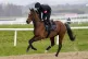 Jockey Rachael Blackmore with Monty's Star on the gallops ahead of day four of the 2025 Cheltenham Festival at Cheltenham Racecourse, March 14, 2025