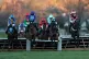 All In You ridden by James Bowen (right) on their way to winning the Read Nicky Henderson's Unibet Blog Handicap Hurdle at Sandown Park Racecourse, Esher, January 3, 2026