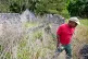Ire Gene Grovner walks through remnants of the old slave's quarters at the Chocolate Plantation where his ancestors lived some eight generations ago on Sapelo Island, Ga., on May 16, 2013