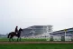 A Gordon Elliott trained horse makes their way in after a run on the gallops at Cheltenham Racecourse, ahead of the 2026 Cheltenham Festival, March 9, 2026