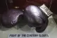 Boxing gloves worn by Muhammad Ali in his fight with Joe Frazier in 1971 billed as the fight of the century, on show ahead of the I Am The Greatest: Muhammad Ali at The O2 exhibition, London, March 3, 2016