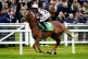 Secret Squirrel ridden by David Bass goes to post before the bet365 Novices' Championship Final Handicap Hurdle on bet365 Jump Finale day at Sandown Park Racecourse, Esher, April 27, 2024