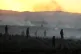 Anti-government protesters standing in a field are silhouetted against clouds of tear gas launched by police, near El Alto, Bolivia, May 16, 2026
