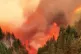 BITTER HARVEST: Fires in Argentine Patagonia in February 2026 / Pic: tfnoticias/CC