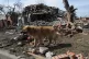dog walks past a building damaged by shelling in the city of
