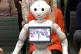 A robot appears before a parliamentary select committee last