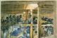 BRUTAL: Slaves above and below deck aboard the Albanoz, a ca