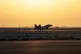 A US Air Force F-22 Raptor arrives at Al-Dhafra Air Base in 