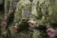 Soldiers wearing the patch of their Nato mission stand durin