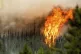 Flames from the Donnie Creek wildfire burn along a ridge top