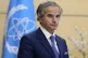 International Atomic Energy Agency Director General Rafael M