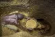 Miners extract mud they hope contains gold at a gold mining 