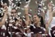 Confetti showers presidential candidate Claudia Sheinbaum, r