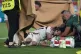 Medical personnel treats Hungary's Barnabas Varga after he w