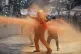 Protesters scatter as Kenya police spray a water canon at th