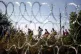 Migrants arrive at the Hungarian border fence between Serbia