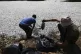 Workers collect dead fish from a river near the port city of