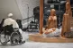 Pope Francis prays in front of a Nativity Scene crafted in t
