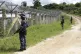 Myanmar border guards stand near the border fence at a no-ma
