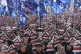 Protesters stage a rally to demand South Korean President Yo