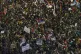 People wave Serbian flags as they gather at a square during 