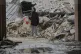 A woman checks the damage at the building parking which was 
