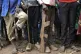 Former child soldiers stand in line waiting to be registered