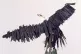 TIME HAS COME: Detail from Ralph Griffin’s Eagle (1988), p