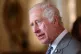 King Charles III during a reception for the Prince's Trust A